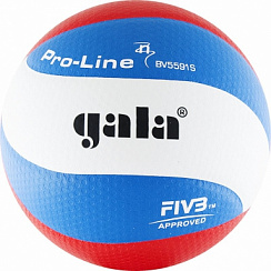 Мяч GALA Pro-Line 10 FIVB BV5591S р. 5 белый-голубой-красный